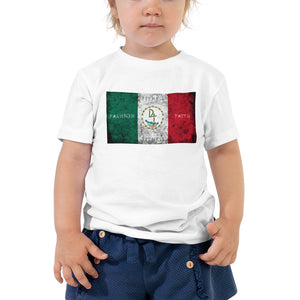 Hispanic Heritage Mexico Toddler Short Sleeve Tee
